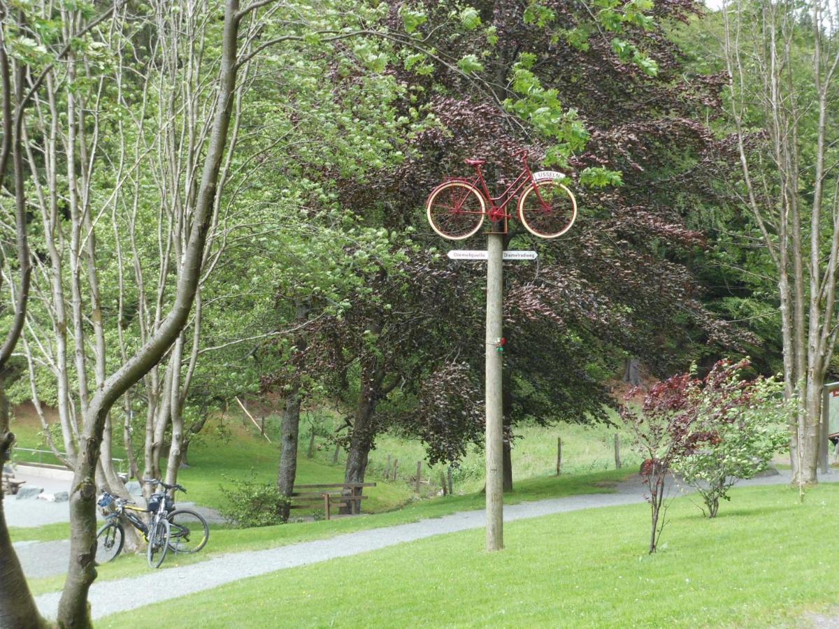 Westfalenhof Garni Willingen  Bagian luar foto