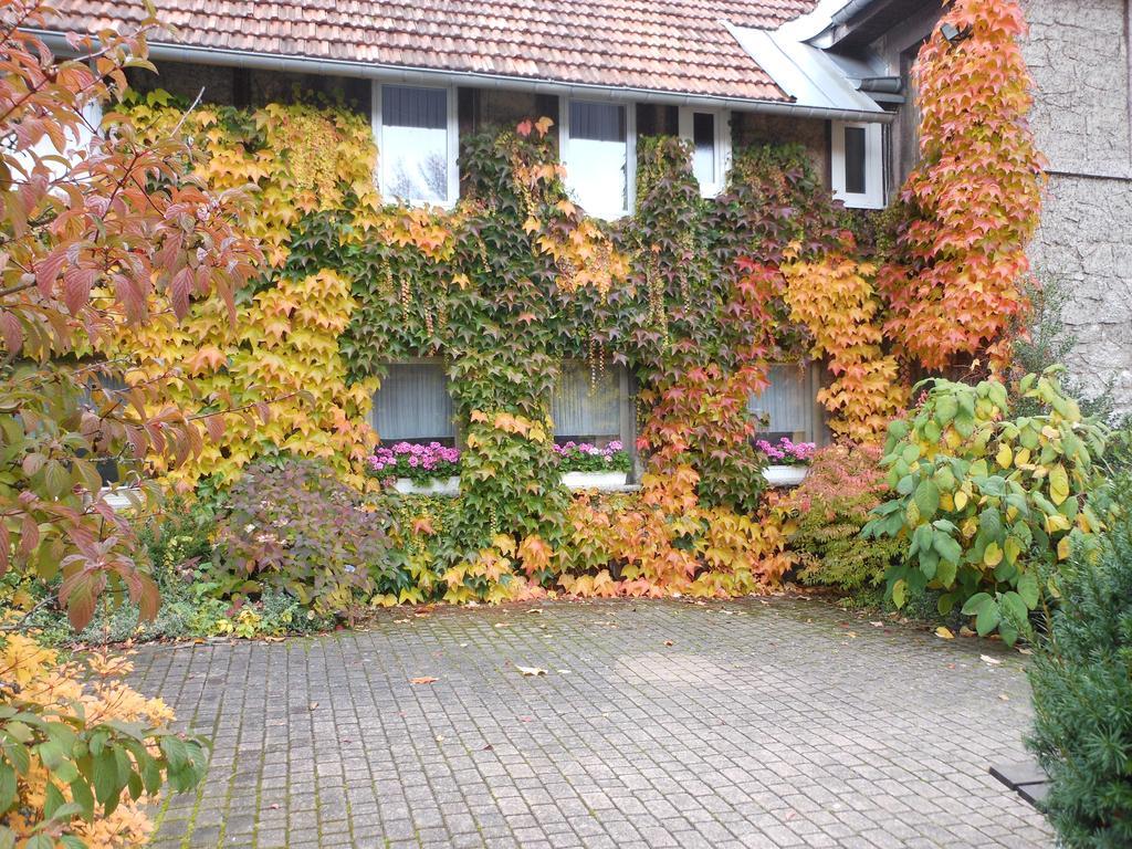 Westfalenhof Garni Willingen  Bagian luar foto