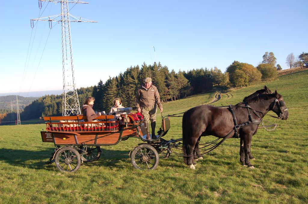 Westfalenhof Garni Willingen  Bagian luar foto