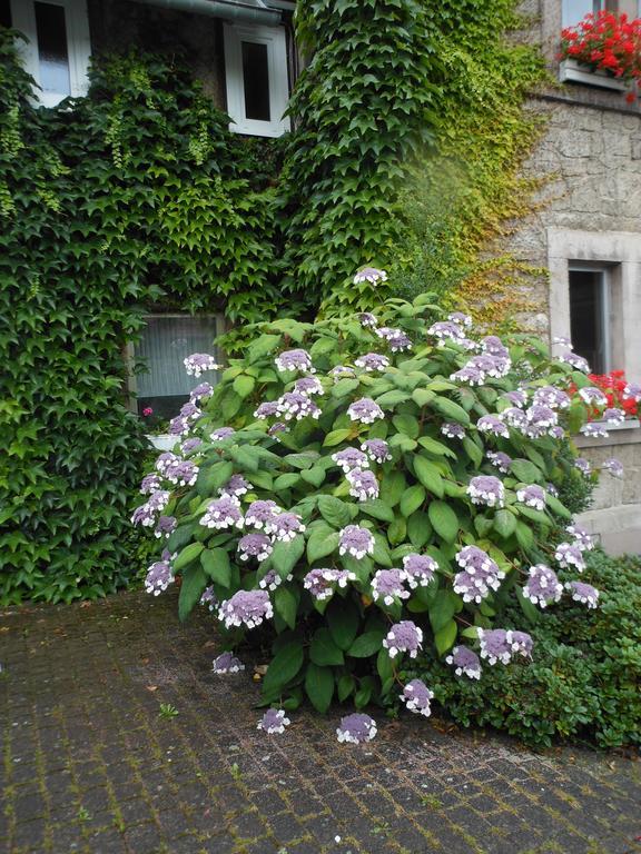 Westfalenhof Garni Willingen  Bagian luar foto